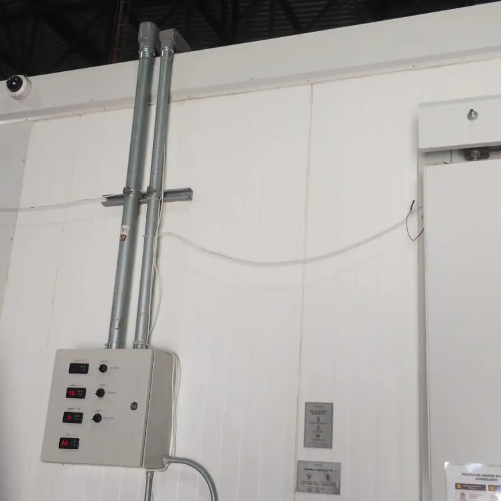 servicio electrico monterrey 29